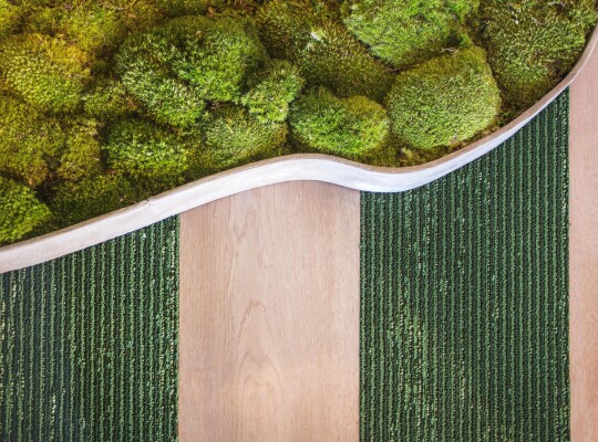 26002-380-LL100 - Thereca (3)