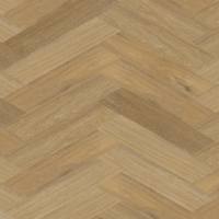 Chevron_weense punt_6543